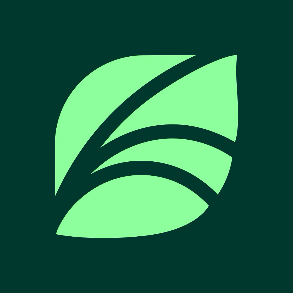 Spring app icon