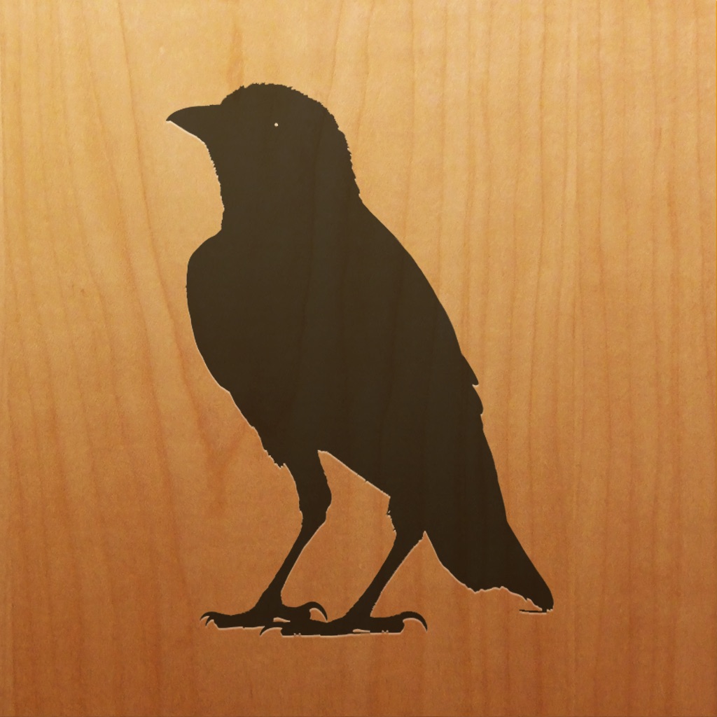 Blackbird! app icon